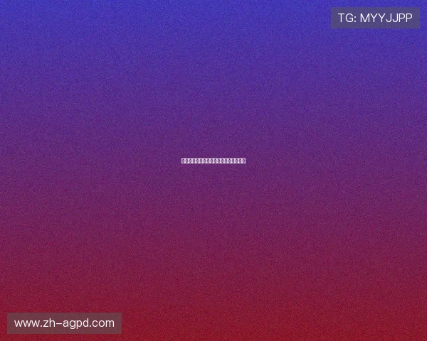 火箭队成员身高名单详解及球队战术影响